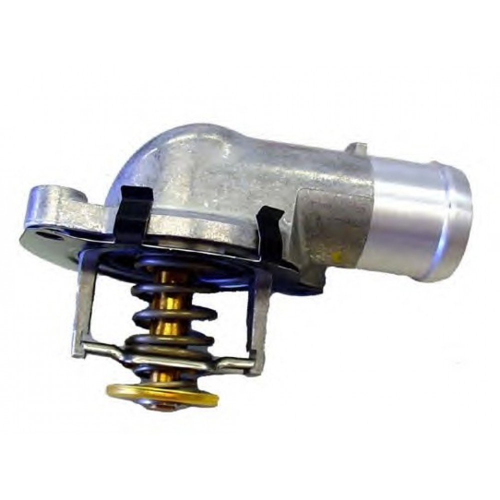 TERMOSTATAS VW T5,TOUAREG 2.5TDĮ 02-