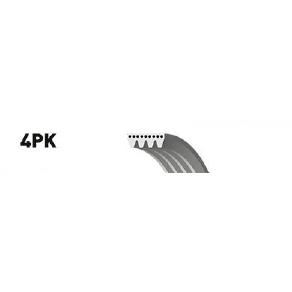 DIRŽAS JUOSTINIS 4PK855