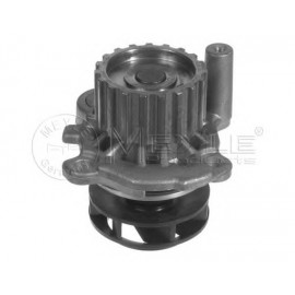 VANDENS SIURBLYS AUDI A3,VW GOLF 4 1.9Tdį/Sdį
