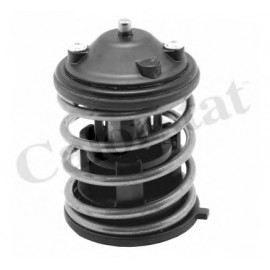 TERMOSTATAS BMW 87C N47 2,0D-3,0D