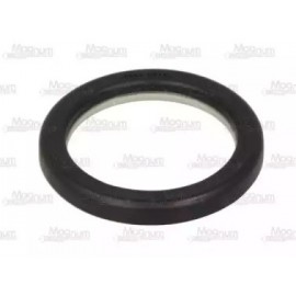 GUOLIS FRIKCINIS AMORTIZATORIAUS MB W203 00-