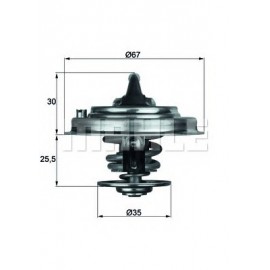 TERMOSTATAS AUDI A4/A6/A8,VW PASSAT 96-