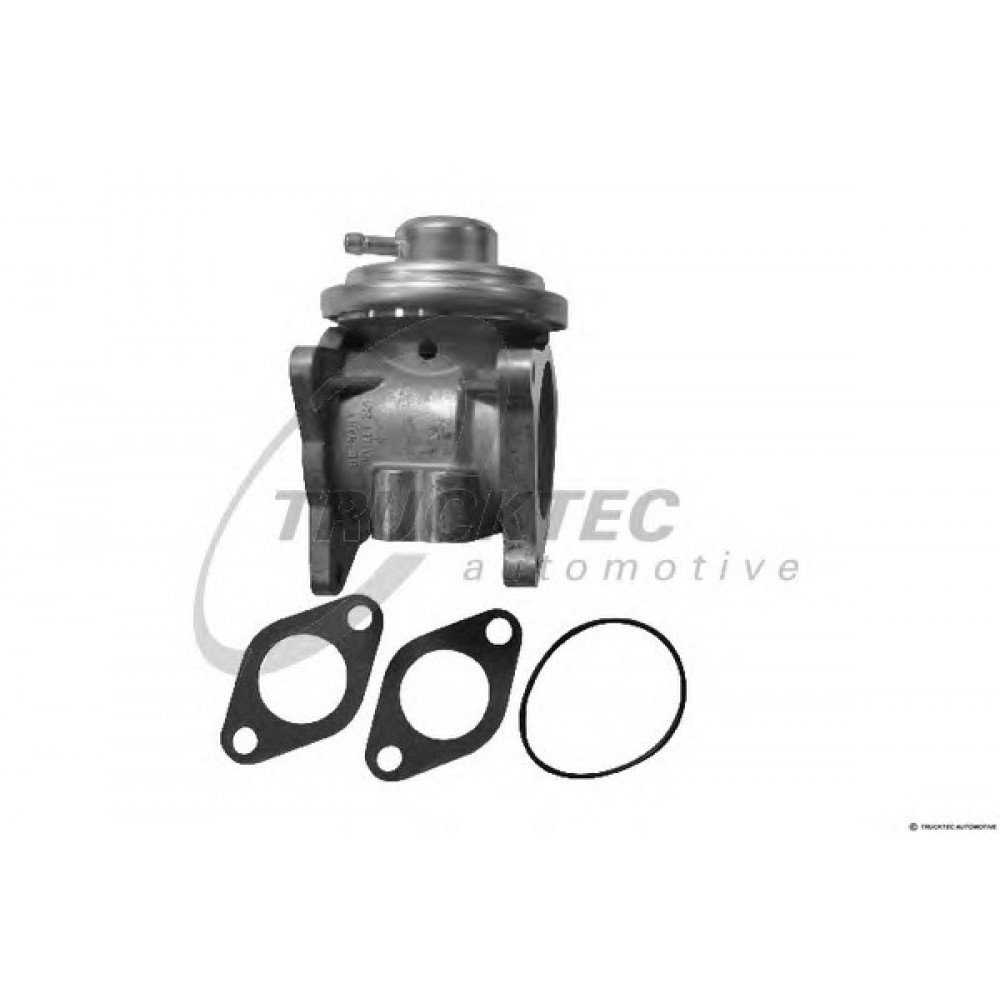 VOŽTUVAS EGR AUDI,VW,SEAT,ŠKODA
