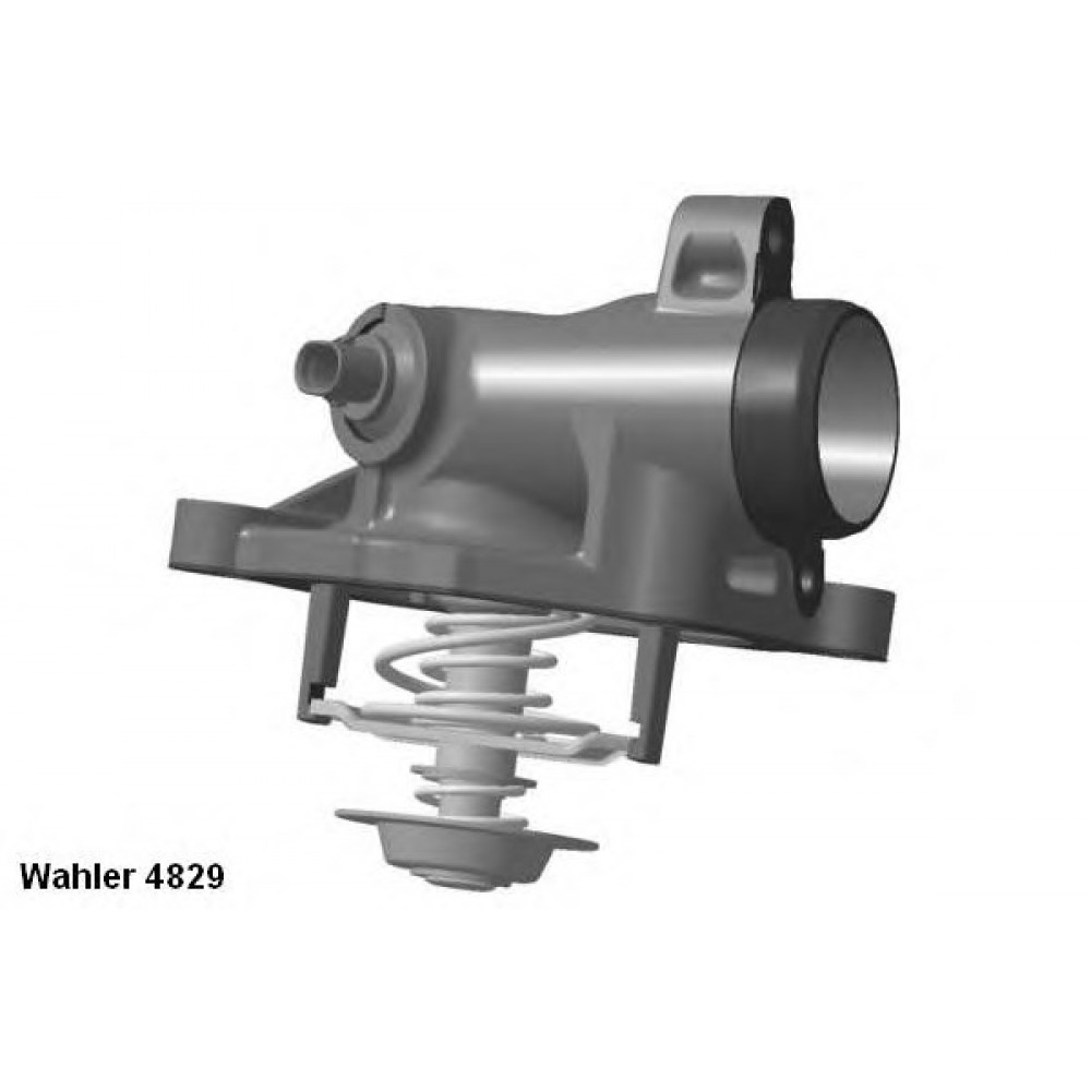 TERMOSTATAS MB W211/C219 5,5 06-