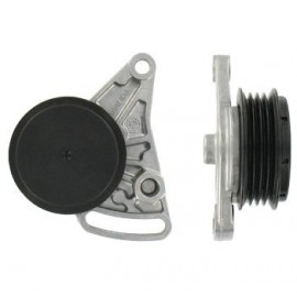 ĮTEMPIMO GUOLIS AUDI A4,A6,VW PASSAT