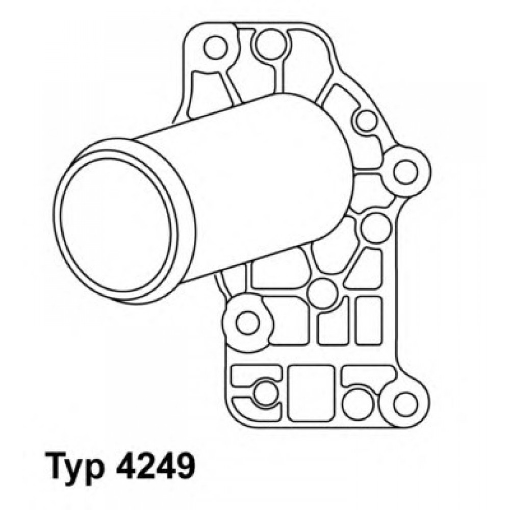 TERMOSTATAS PORSCHE 911, 911 TARGA, BOXSTER, CAYMAN 2.5-3.8 09.96-12.09
