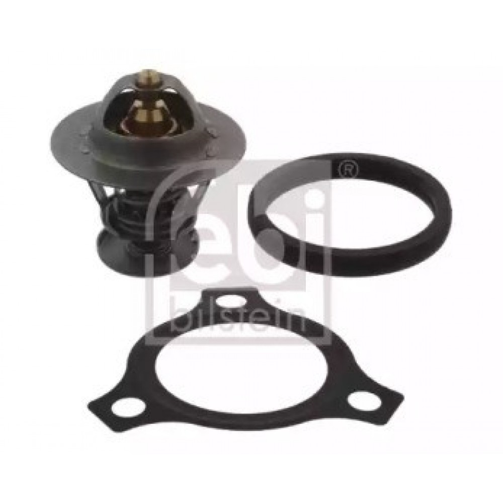 TERMOSTATAS, AUŠINIMO SKYSTIS FORD MONDEO,TRANSIT 00-