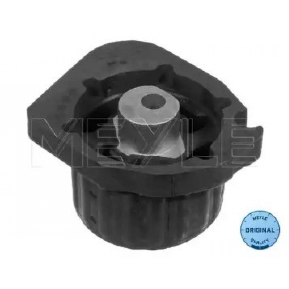 PAGALVĖ DĖŽĖS BMW X5 (E53) 3.0/3.0D 04.00-10.06