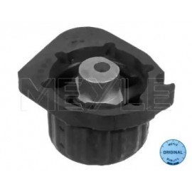 PAGALVĖ DĖŽĖS BMW X5 (E53) 3.0/3.0D 04.00-10.06
