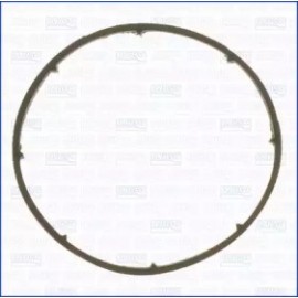 ALYVOS FILTRO KORPUSO TARPINĖ OPEL