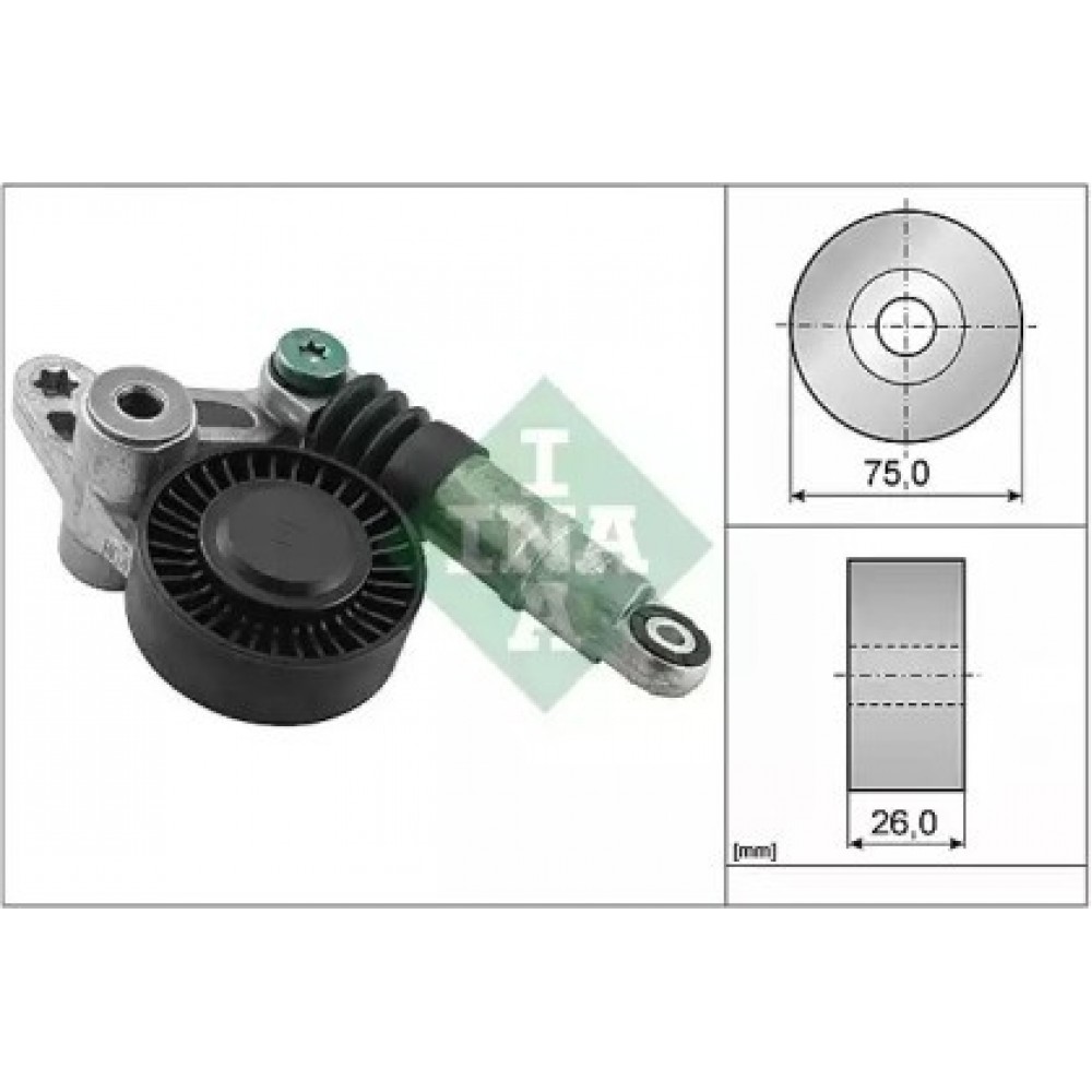 ĮTEMPIMO GUOLIS AUDI 2.7-3.0TDĮ 04-