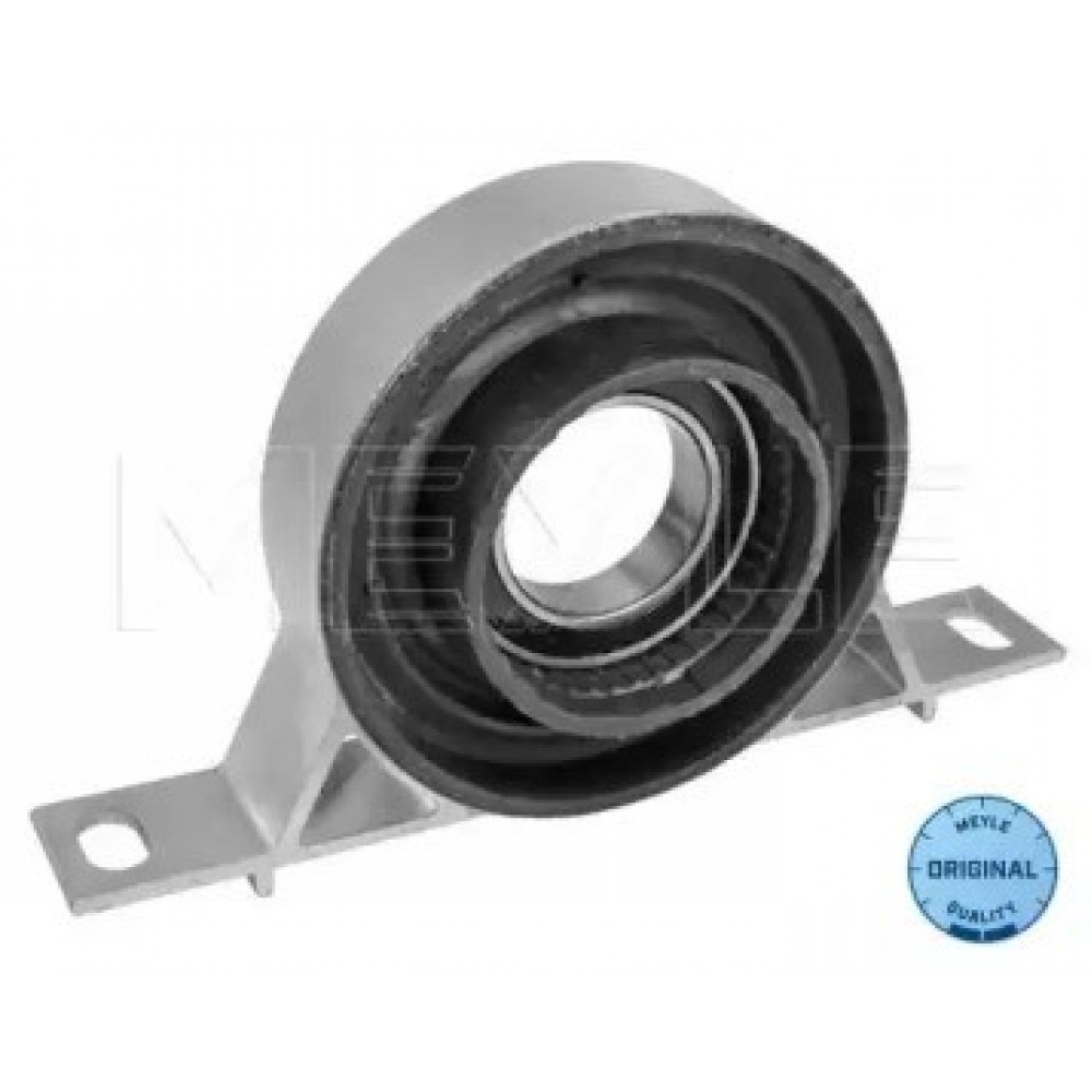 PAKABINAMAS GUOLIS BMW E46 330D 98-05
