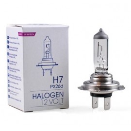 Lemputės M-TECH HALOGEN BULBS 12V