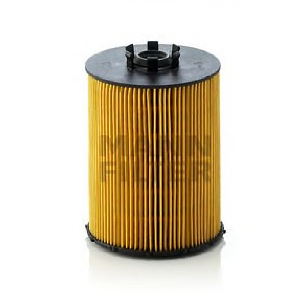 ALYVOS FILTRAS BMW E60/E65/E66/E70
