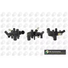 TERMOSTATAS CITROEN,FORD,JAGUAR 2.0D-3.2D 01.00-