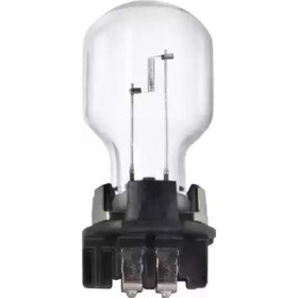 LEMPUTĖ PW24W 12V 24W Vision
