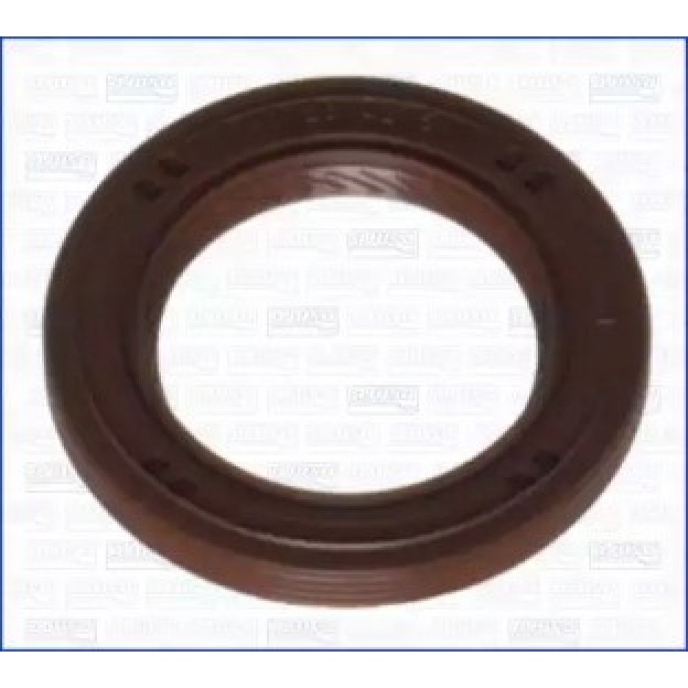 VELENO SANDARIKLIS, SKIRSTOMASIS VELENAS DACIA DUSTER 10-