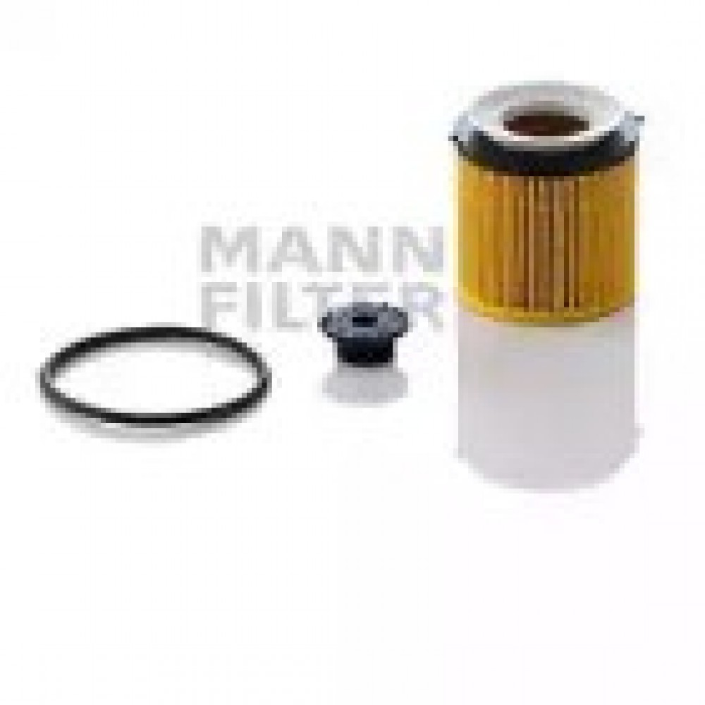 ALYVOS FILTRAS BMW 5 (F10) N20 B20A 2011-