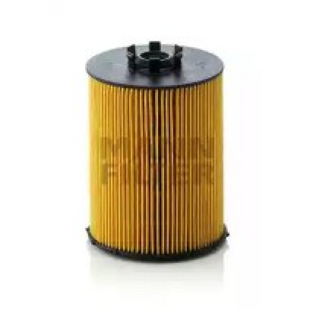 ALYVOS FILTRAS BMW 5 E60, 7 65, X5 E70 05-