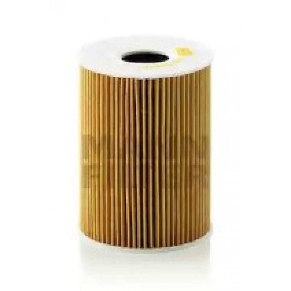 ALYVOS FILTRAS BMW 5,0 E60/E63