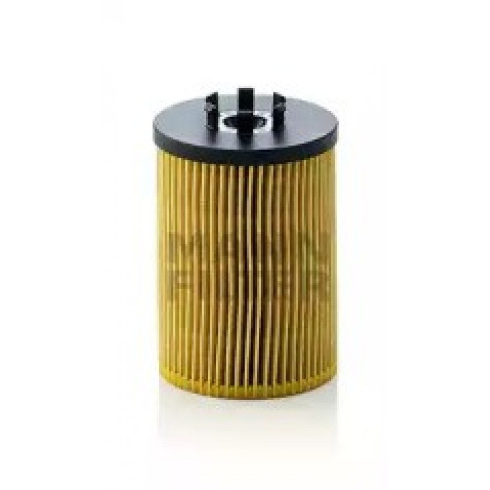 ALYVOS FILTRAS BMW N62B36/44/48A