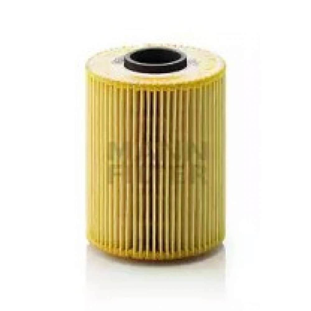 ALYVOS FILTRAS BMW S50B30/32