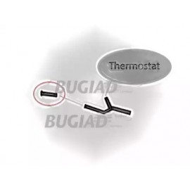 VARIKLIO TURBINOS ŽARNA FORD TRANSIT CONNECT 1,8DI/TDCI 02-