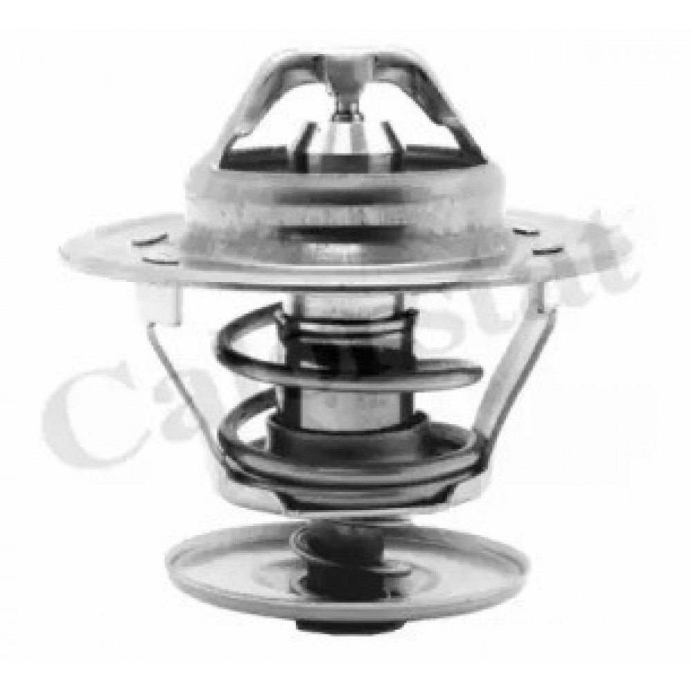 TERMOSTATAS VW 80C 1,6B A100