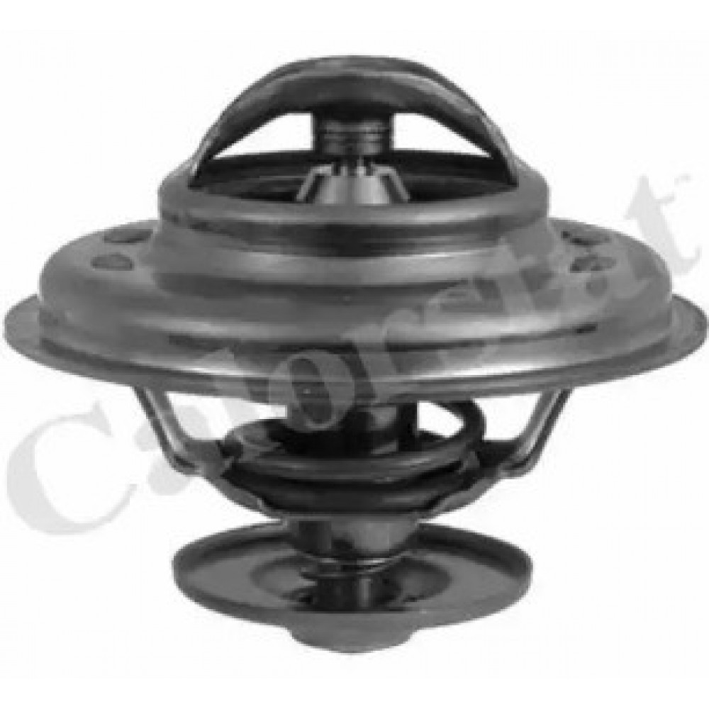 TERMOSTATAS VW 87C 2,0-2,3