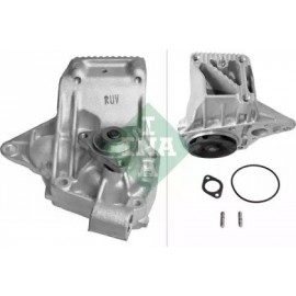 VANDENS SIURBLYS RENAULT 2,5 98-