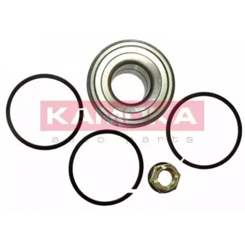 RATO GUOLIO KOMPLEKTAS RENAULT LAGUNA I 95-01