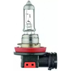 LEMPUTĖ H16 19W 12V LONG LIFE