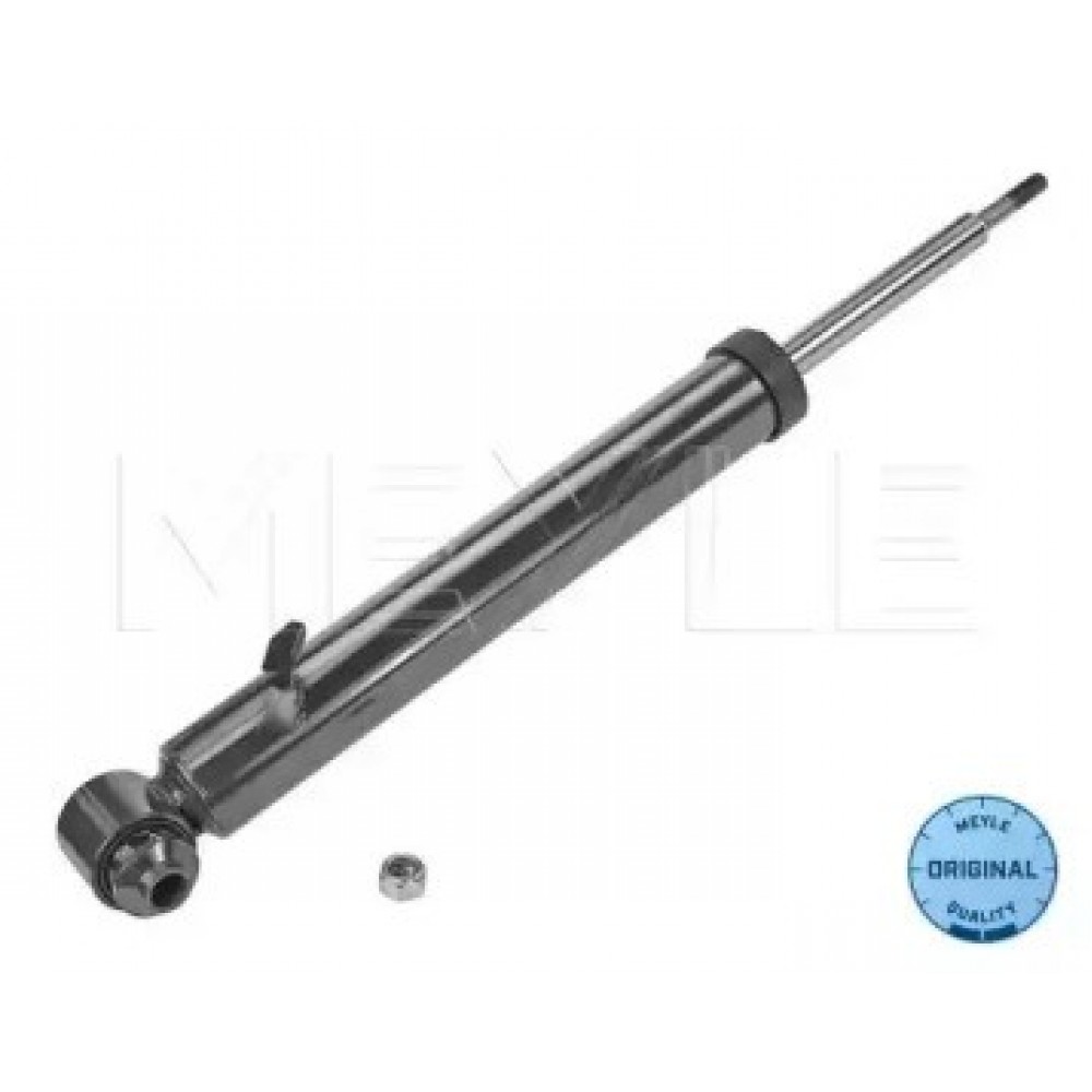 AMORTIZATORIUS BMW X5 (E70), X6 (E71, E72) 3.0-4.8 10.06-07.14