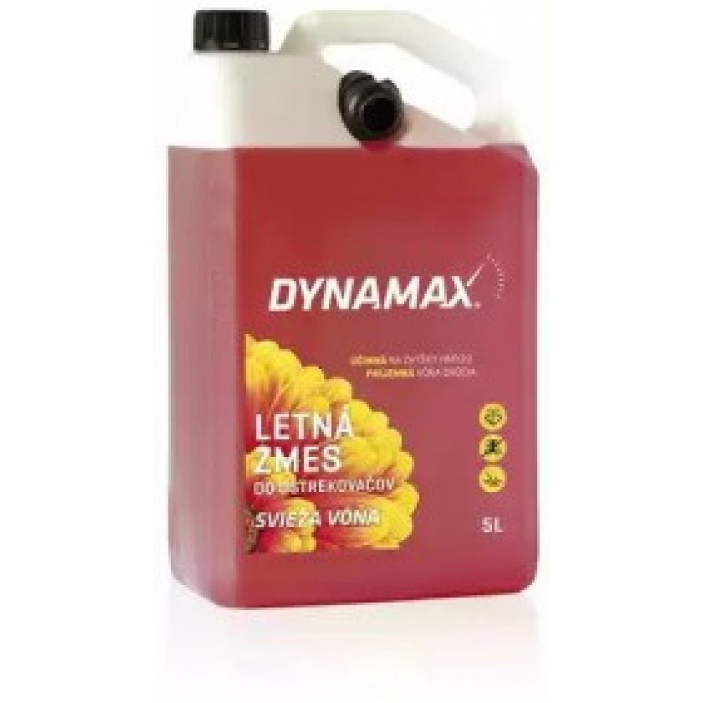 SKYSTIS Į BAKELĮ LANGAMS VASARINIS DYNAMAX FOREST FRUIT 5L
