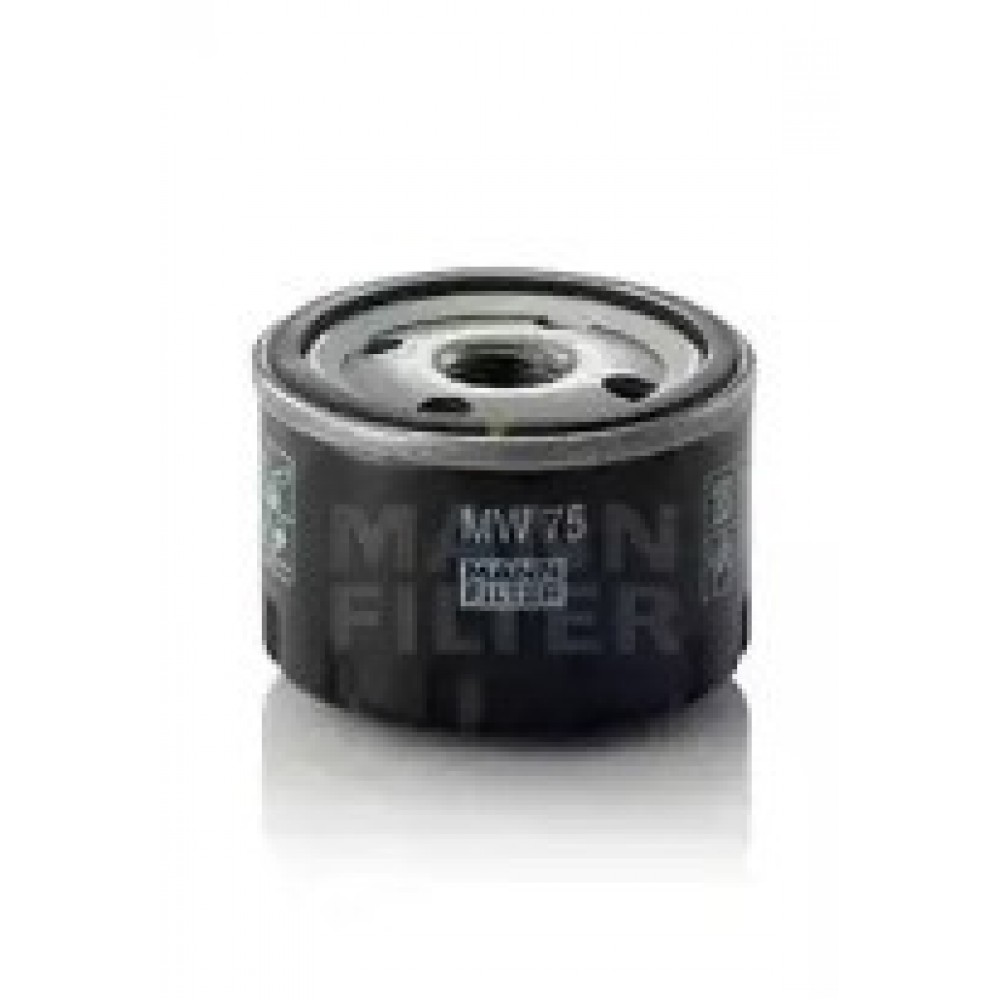 ALYVOS FILTRAS BMW C, HP2, K, R, R NINET, S, I3 (I01) 600-1600 2002-
