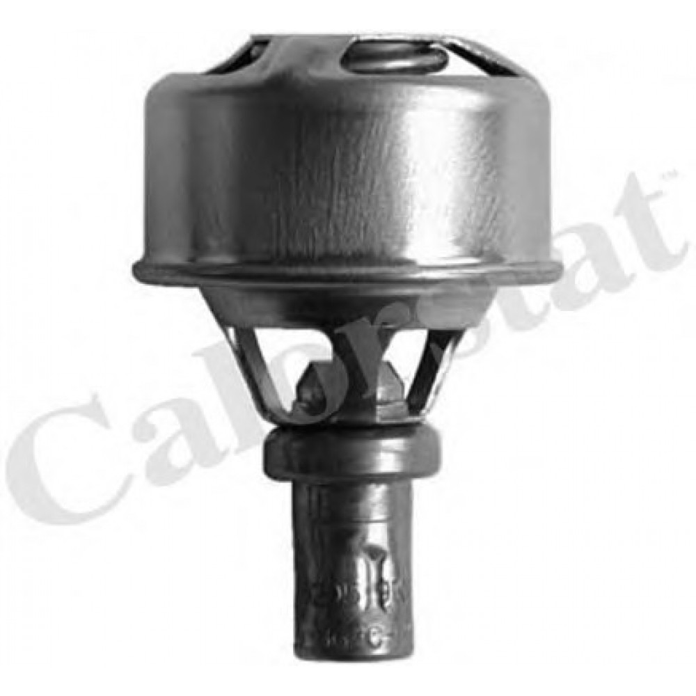 TERMOSTATAS VOLVO 89C 1,4