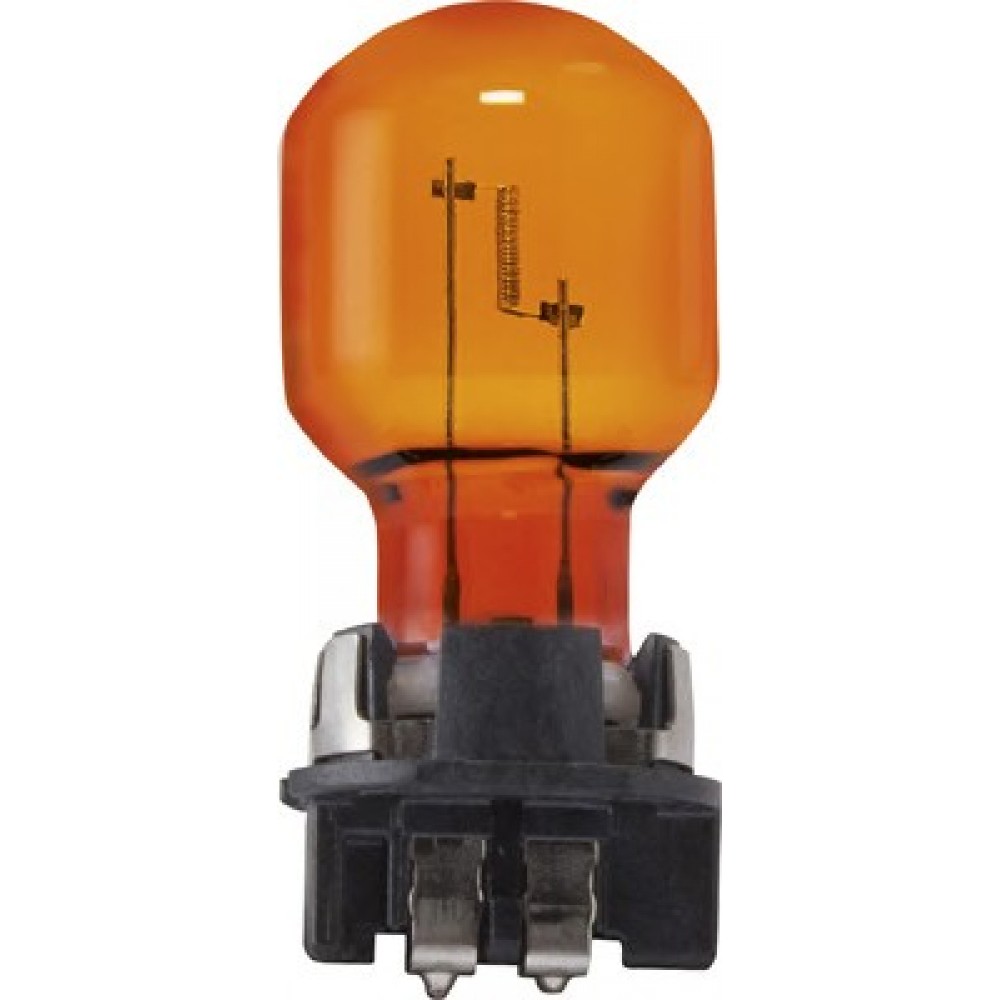 LEMPUTĖ 12V 24W 12174  PWY24W