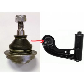 ŠARNYRAS MB W202/W210 93-