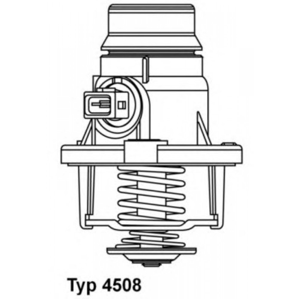 TERMOSTATAS BMW E60/E61/F01/F02/X5/E65/E66