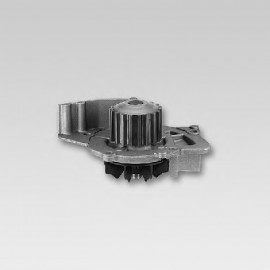 VANDENS SIURBLYS PEUGEOT,CITROEN 2.0-2.2HDĮ
