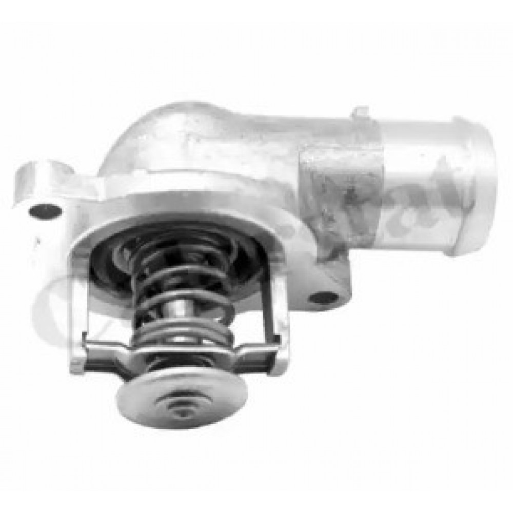 TERMOSTATAS VW 87C 2,5TDI T5