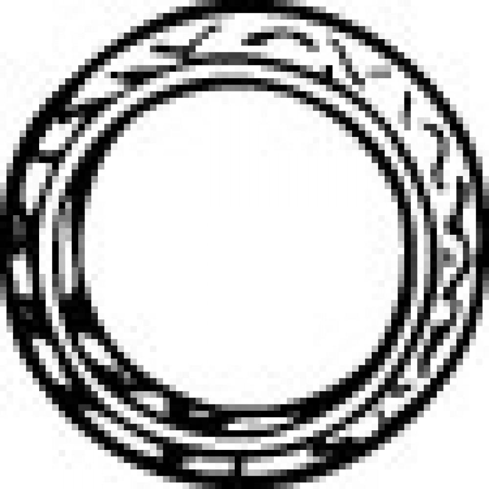 DUSL.ŽIEDAS OPEL OMEGA,FRONTERA,VECTRA