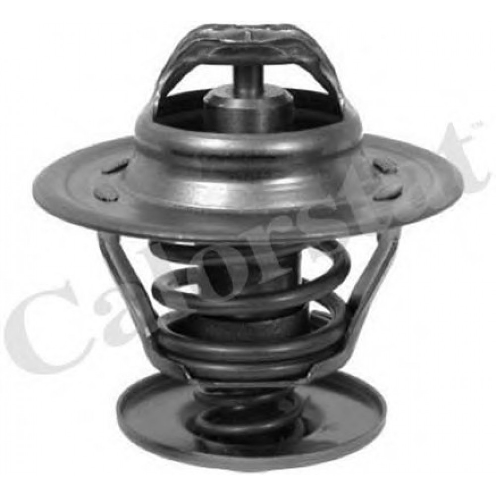 TERMOSTATAS VW 87C GOLF/PASSAT 1,9TDI