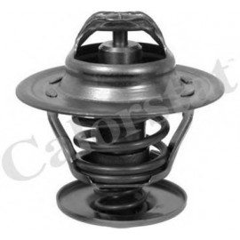 TERMOSTATAS VW 87C GOLF/PASSAT 1,9TDI