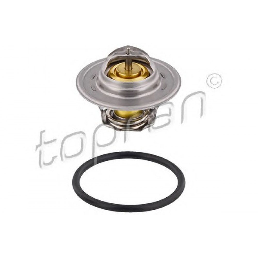 TERMOSTATAS AUDI,VW,OPEL,FORD,RENAULT,NISSAN,SAAB 1.0-3.6D 02.90-