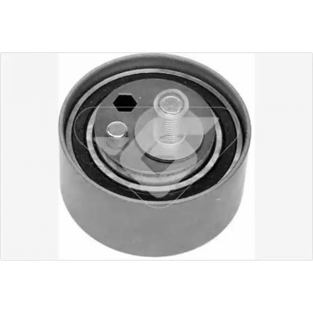 ĮTEMPIMO GUOLIS AUDI,VW 2.5TDį V6 97-