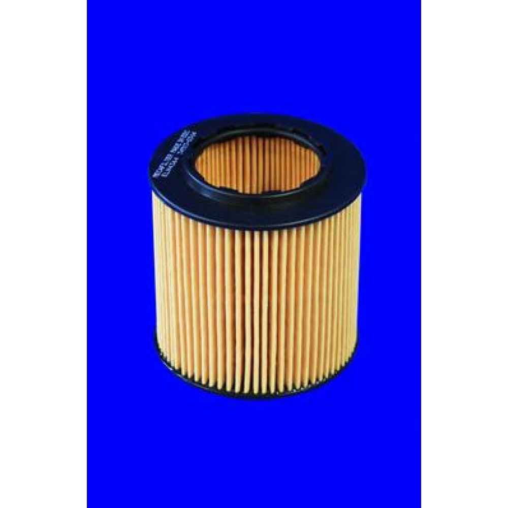 ALYVOS FILTRAS BMW E90/E63/X5/Z4/Z5