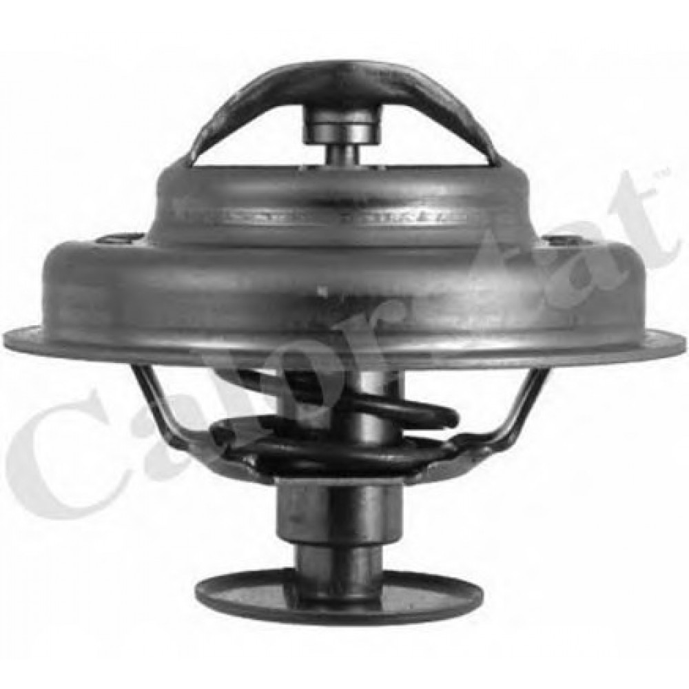 TERMOSTATAS PEUGEOT 81C 1,8/1,9D