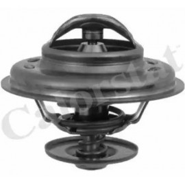 TERMOSTATAS BMW 2.0-2.5 24V M50
