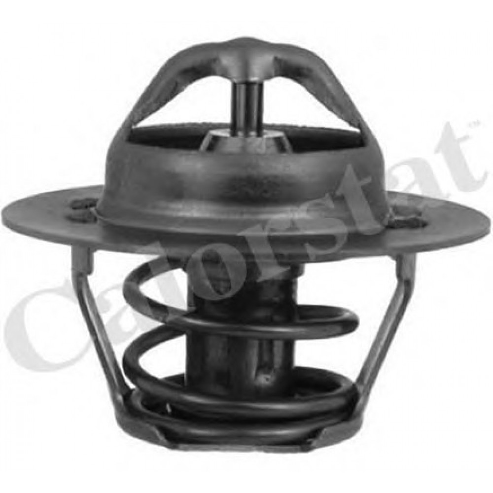 TERMOSTATAS ROVER 88C 1,4